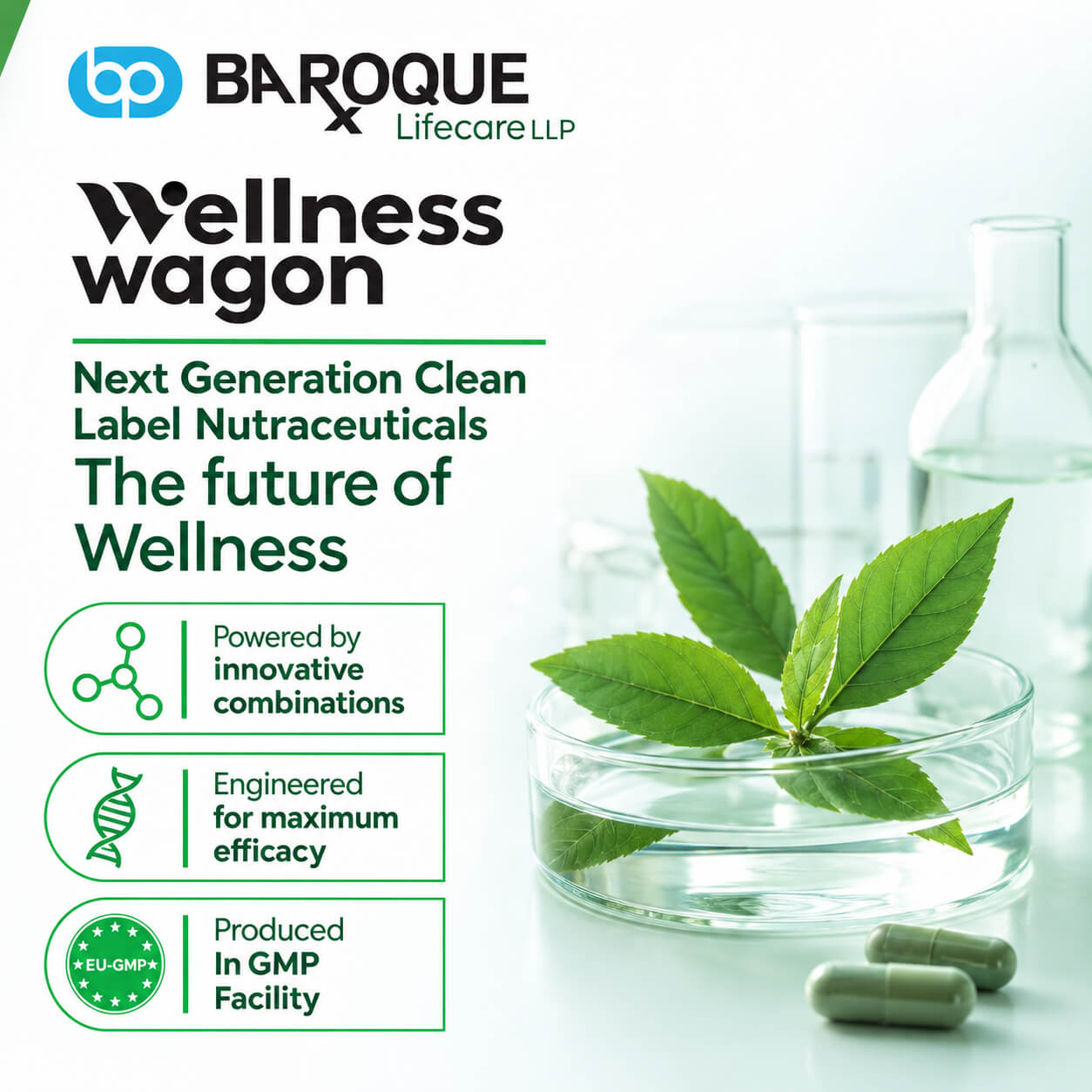 Baroque Wellness & Nutraceuticals